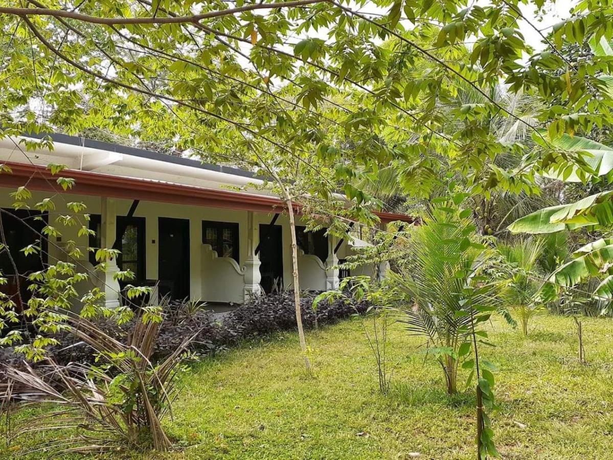 Amron Resort Sigiriya Exterior photo