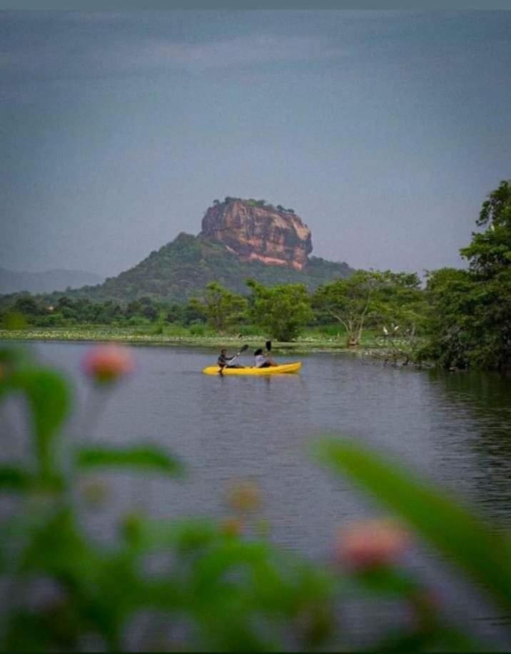 Amron Resort Sigiriya Room photo